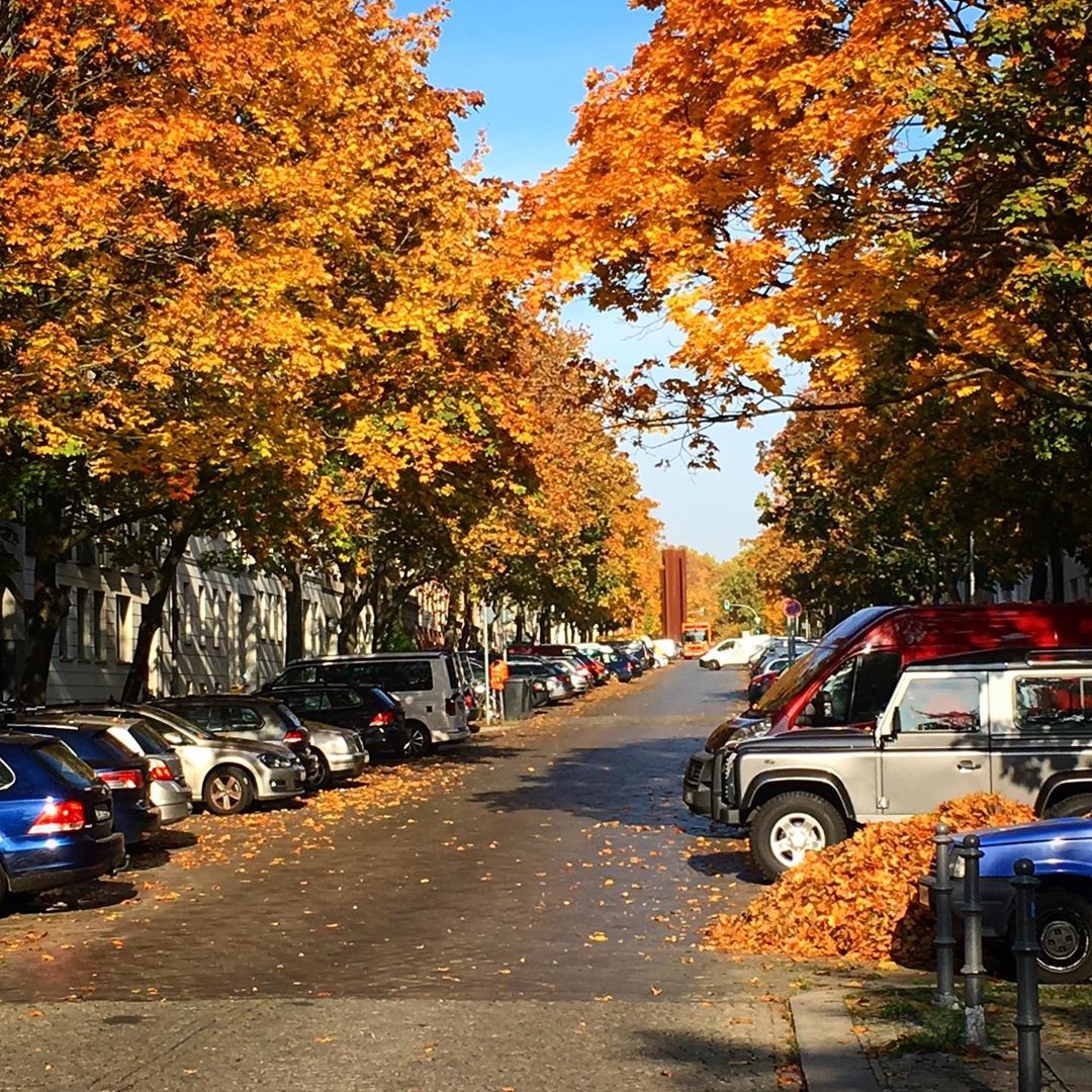 Herbst Strelitzer Strasse Berlin - nuBerlin